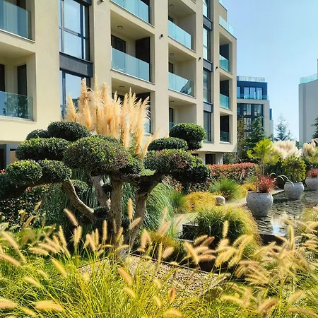 Allure Varna *