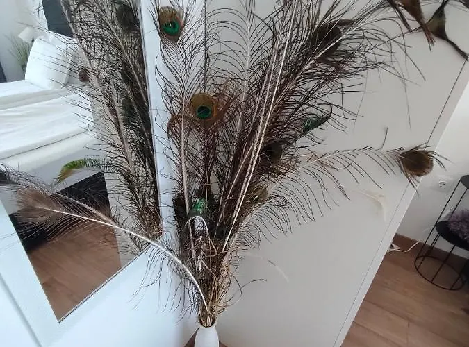 Allure Varna Апартамент