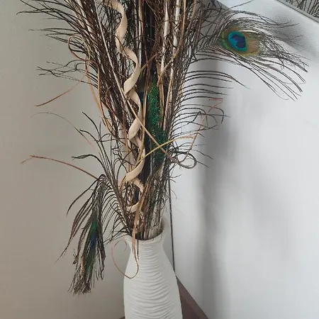 Allure Varna Διαμέρισμα Άγιος Κωνσταντίνος και Ελένη