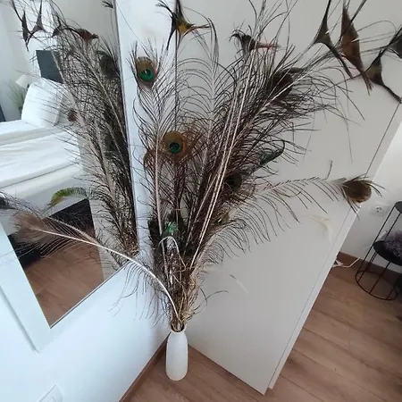 Allure Varna Apartamento