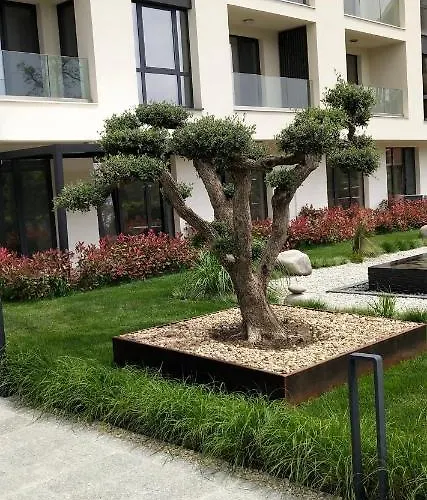 Lejlighed Allure Varna