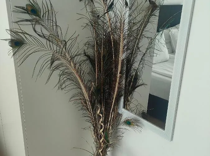 Lejlighed Allure Varna Sankt Konstantin & Helena