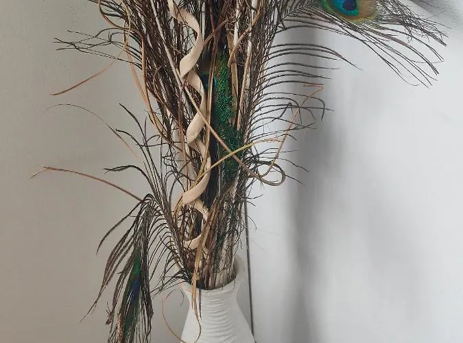 Allure Varna Appartement St Constantin et Helena