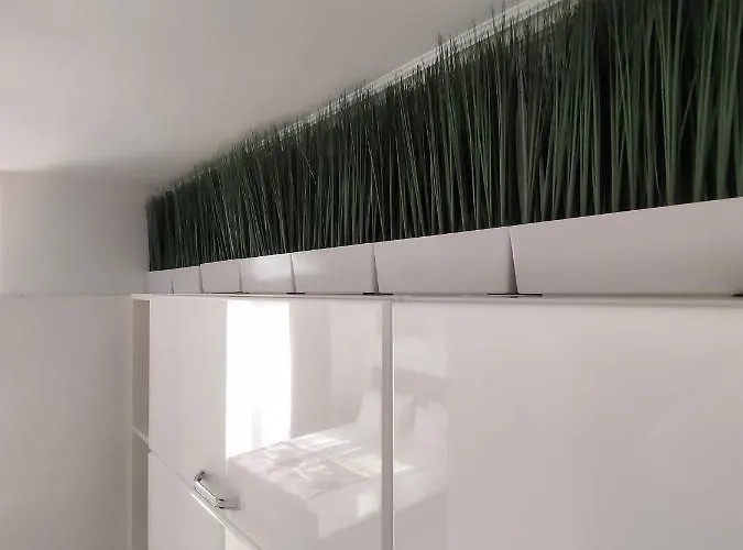 Allure Varna Sankt Konstantin & Helena